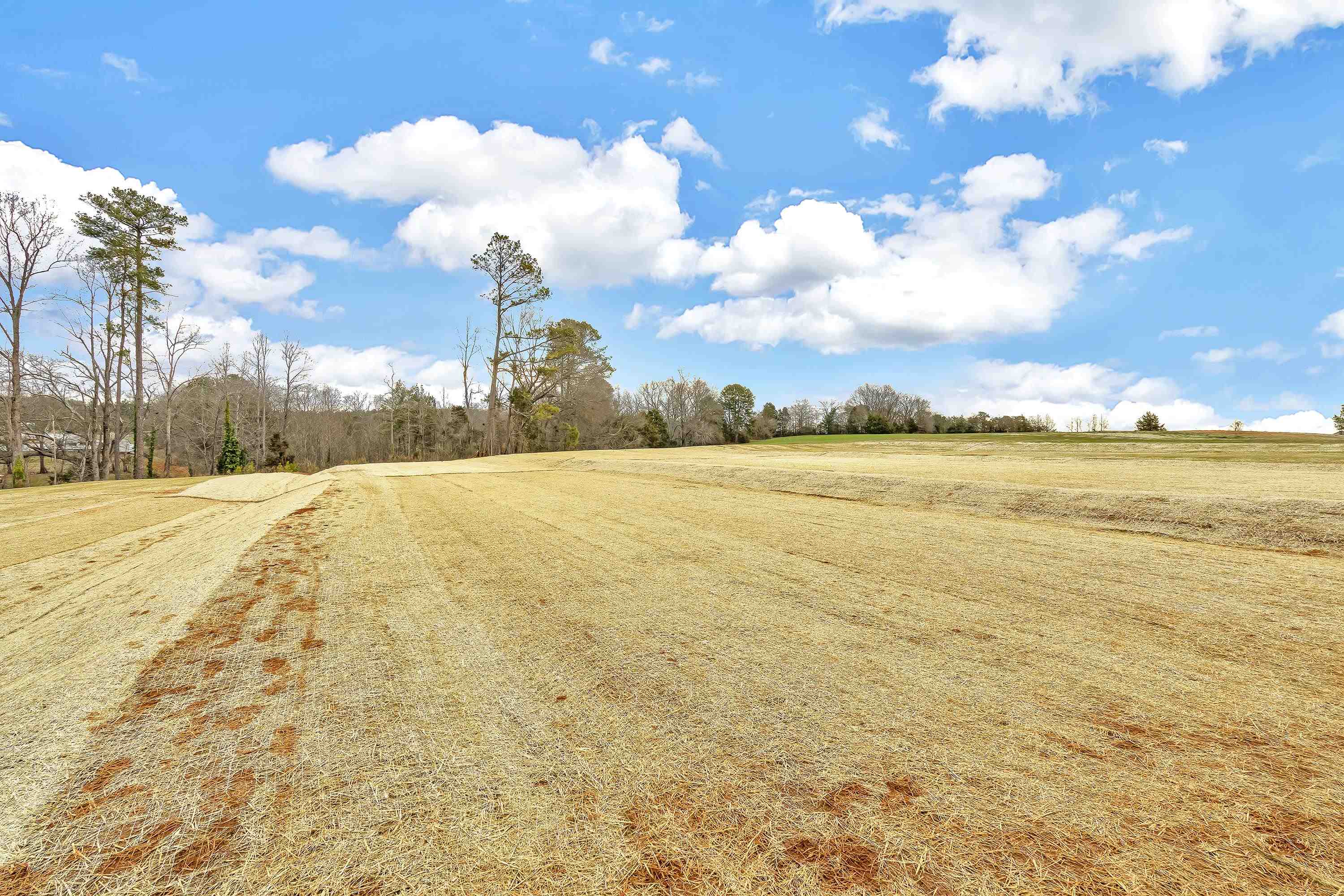 338 Ben Johnson Road Inman, SC 29349 - Photo 22 of 22
