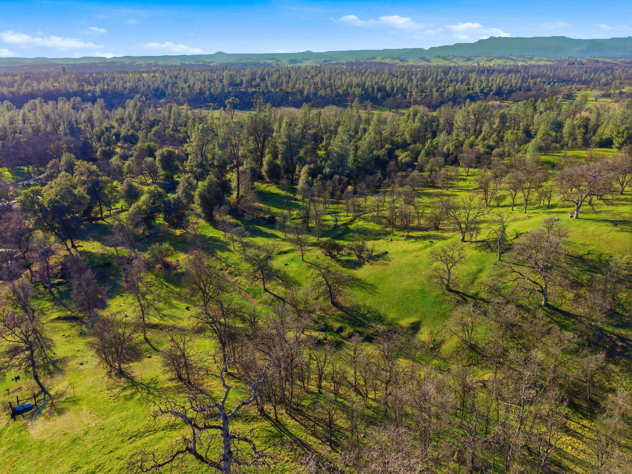 13957 Gas Point Road Igo, CA 96047 - Photo 10 of 10 14-web-or-mls-IMG-14