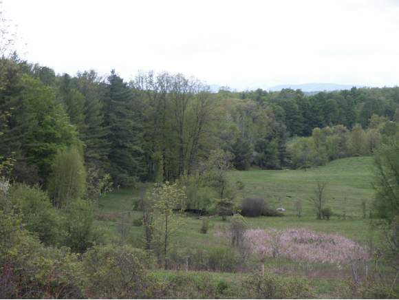 73 Fiddlehill Road Sudbury, VT 05733 - Photo 1 of 1