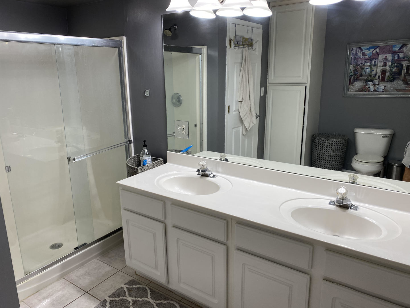 26668 Highway 83 Mundelein, IL 60060 - Photo 27 of 41 a bathroom with a sink and a mirror