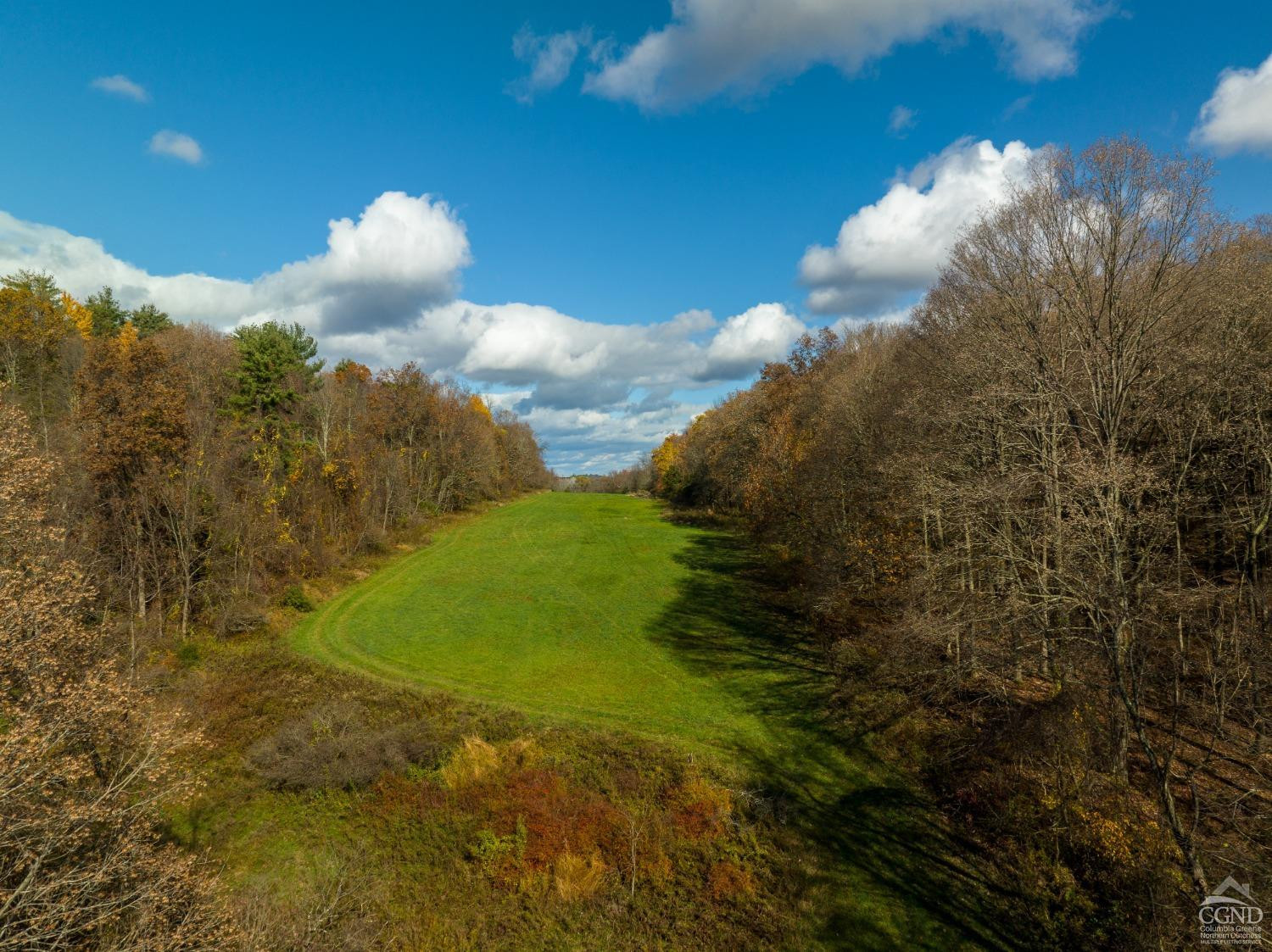 327 Scudderhook Road Livingston, NY 12534 - Photo 2 of 9 a view of a green yard