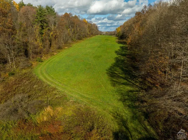 a view of a big yard with large trees