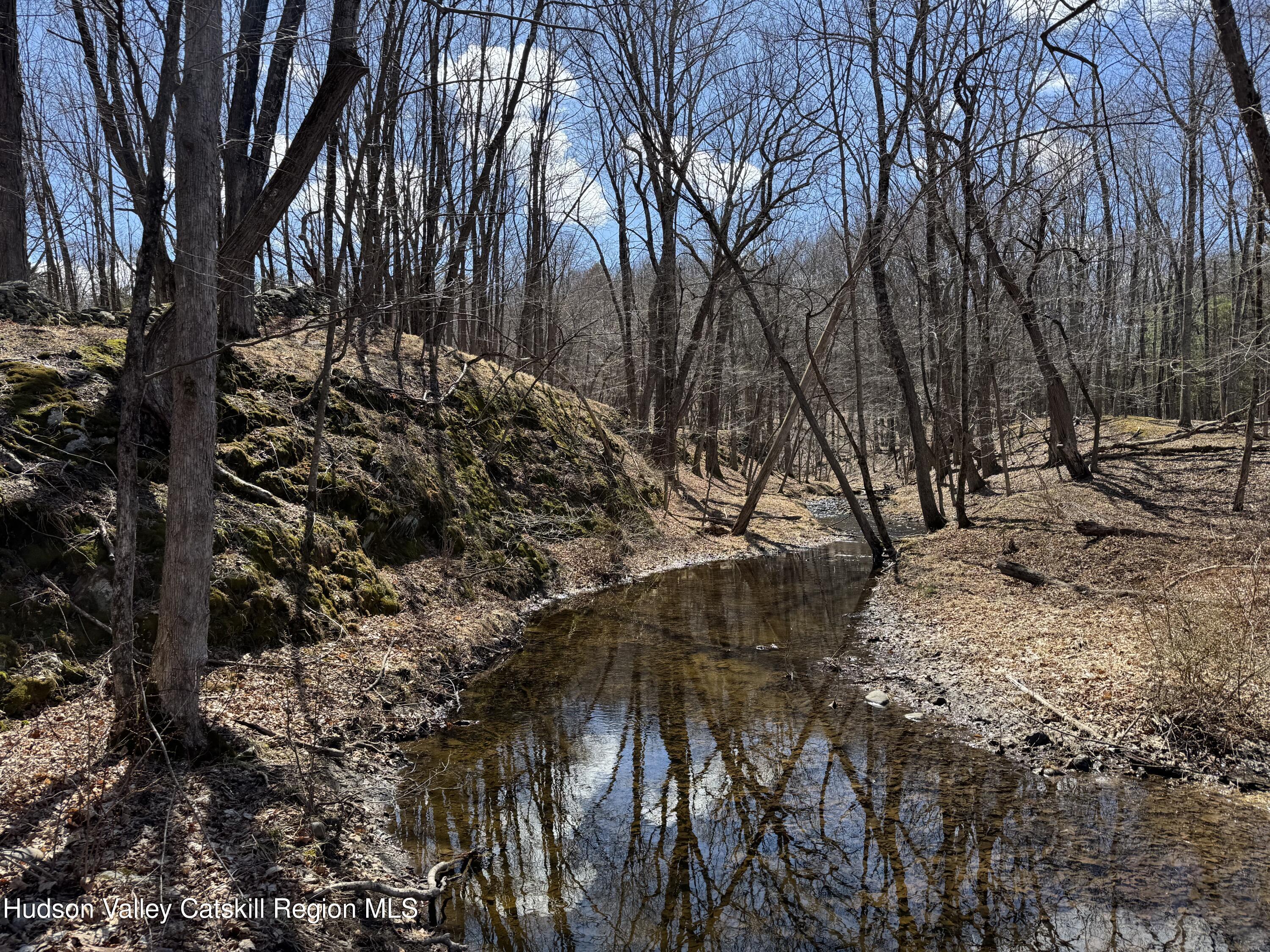 327 Scudderhook Road Livingston, NY 12534 - Photo 6 of 9 a view of a yard with a tree