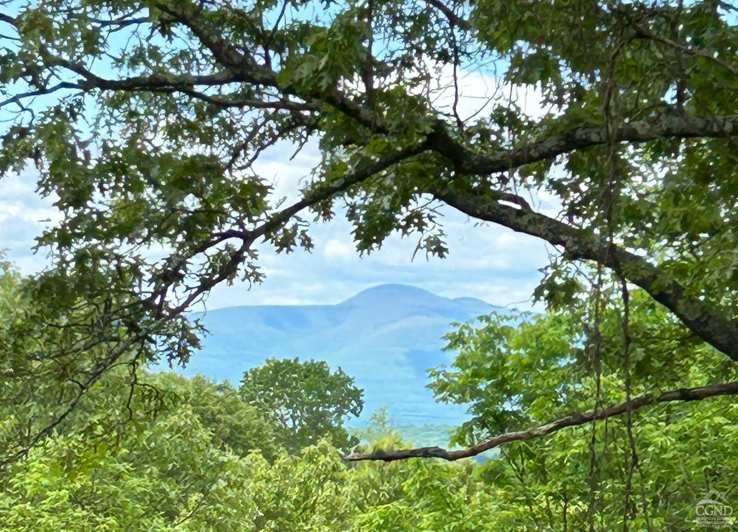 327 Scudderhook Road Livingston, NY 12534 - Photo 7 of 9 a picture of tree