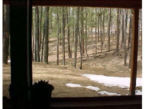 3200 Copper Basin Road Prescott, AZ 86303 - Photo 2 of 3 Additional Photo