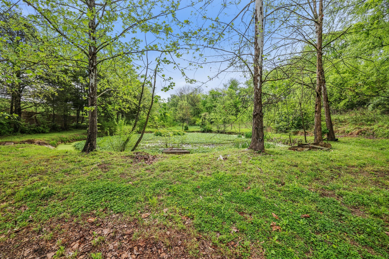 5700 Cane Ridge Road Antioch, TN 37013 - Photo 42 of 61 a view of a tree in a yard