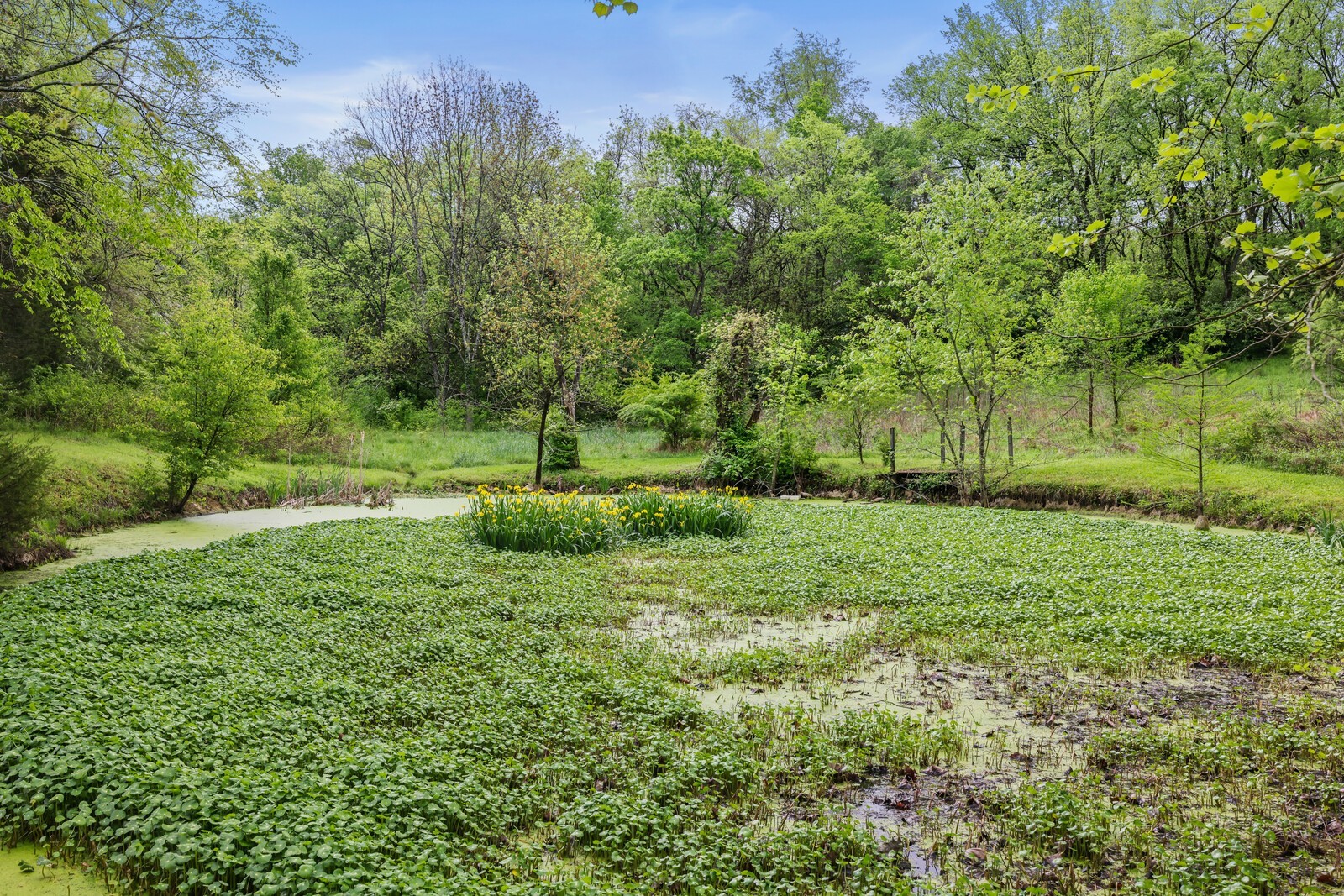 5700 Cane Ridge Road Antioch, TN 37013 - Photo 44 of 61 a view of grassy field with trees