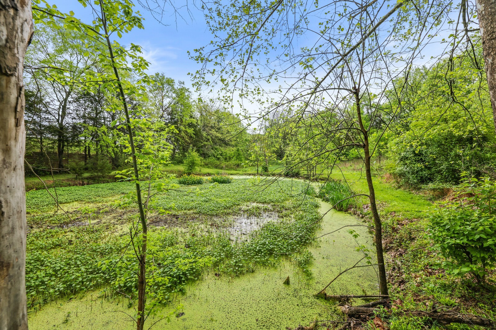 5700 Cane Ridge Road Antioch, TN 37013 - Photo 45 of 61