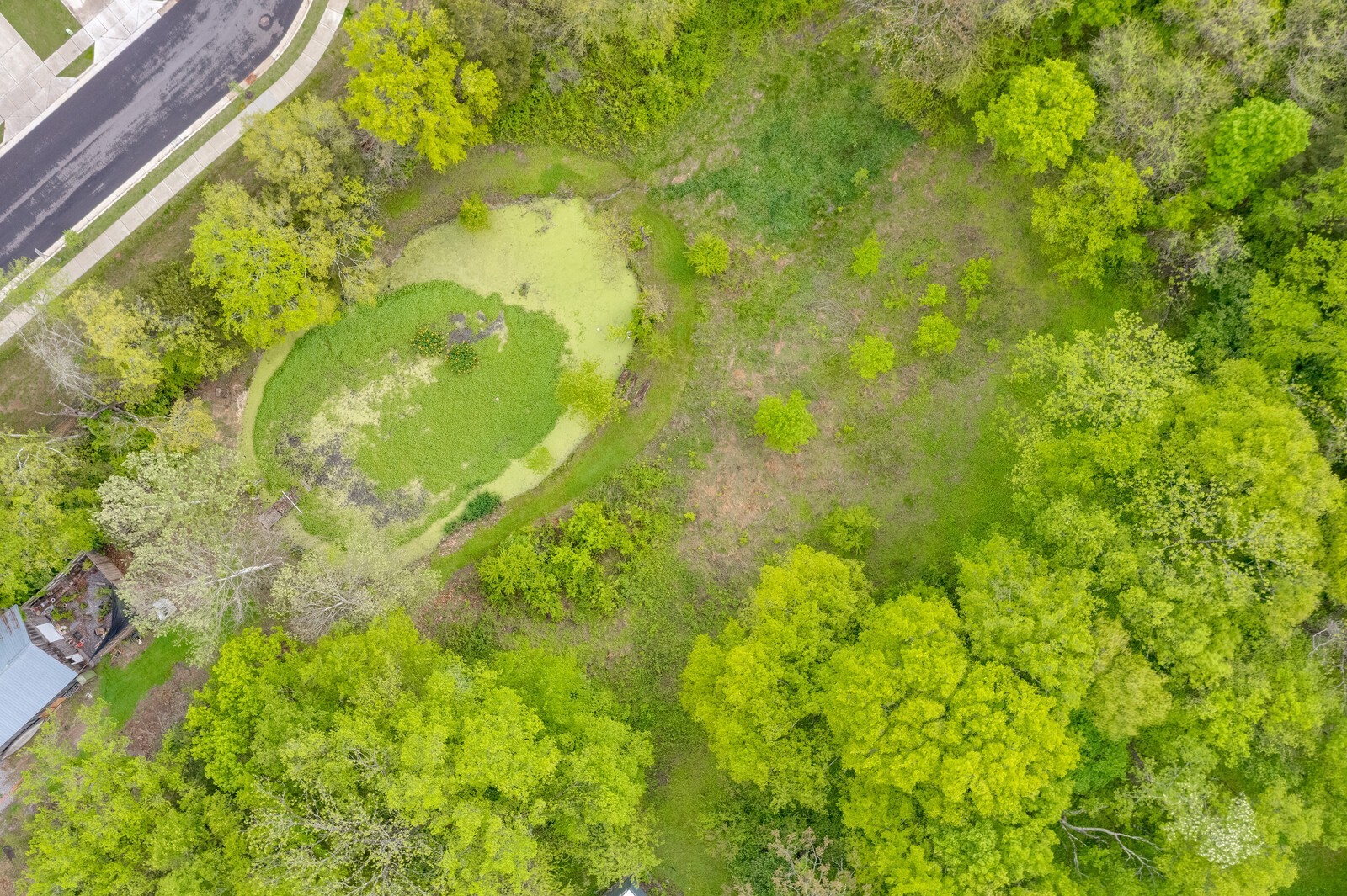 5700 Cane Ridge Road Antioch, TN 37013 - Photo 53 of 61 a view of a yard