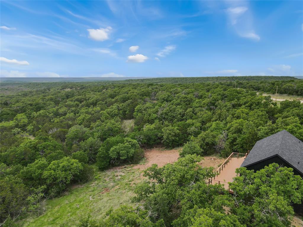 Tbd Tbd Tenbears Court Mingus, TX 76463 - Photo 15 of 20 a view of a green field with lots of bushes
