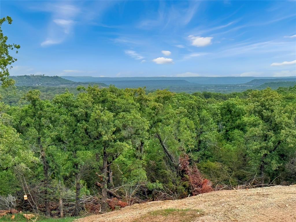 Tbd Tbd Tenbears Court Mingus, TX 76463 - Photo 20 of 20 a view of an outdoor space and a yard