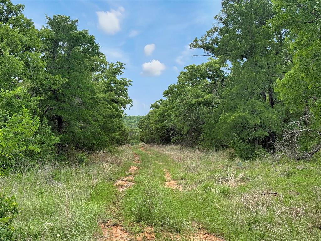 Tbd Tbd Tenbears Court Mingus, TX 76463 - Photo 2 of 20 a view of a yard