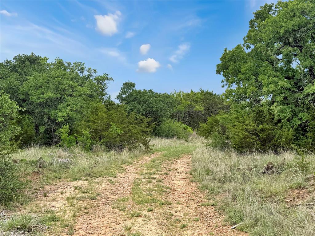Tbd Tbd Tenbears Court Mingus, TX 76463 - Photo 4 of 20 a view of a field of grass and trees