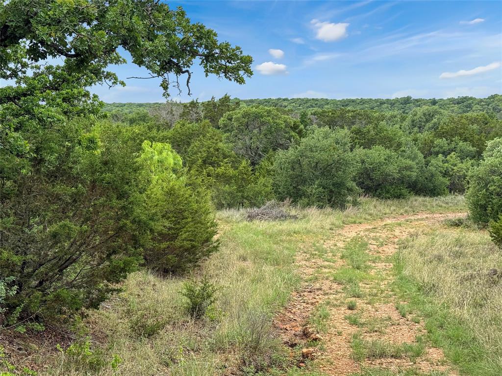 Tbd Tbd Tenbears Court Mingus, TX 76463 - Photo 5 of 20 a view of a yard