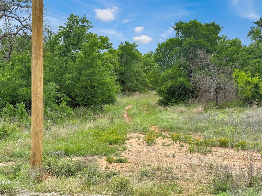 Tbd Tbd Tenbears Court Mingus, TX 76463 - Photo 6 of 20 a view of a yard with plants and a tree