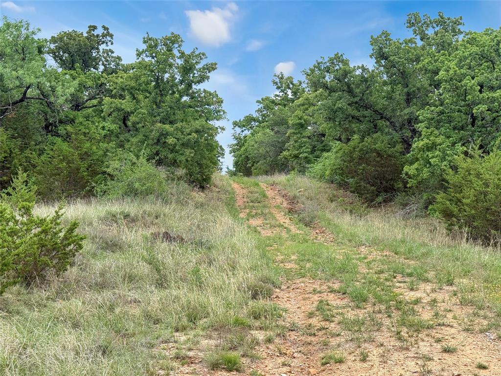 Tbd Tbd Tenbears Court Mingus, TX 76463 - Photo 7 of 20 a view of a yard with a tree