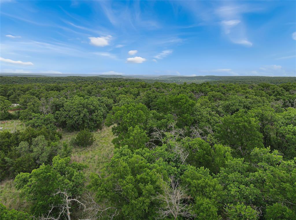 Tbd Tbd Tenbears Court Mingus, TX 76463 - Photo 8 of 20 a view of a green field