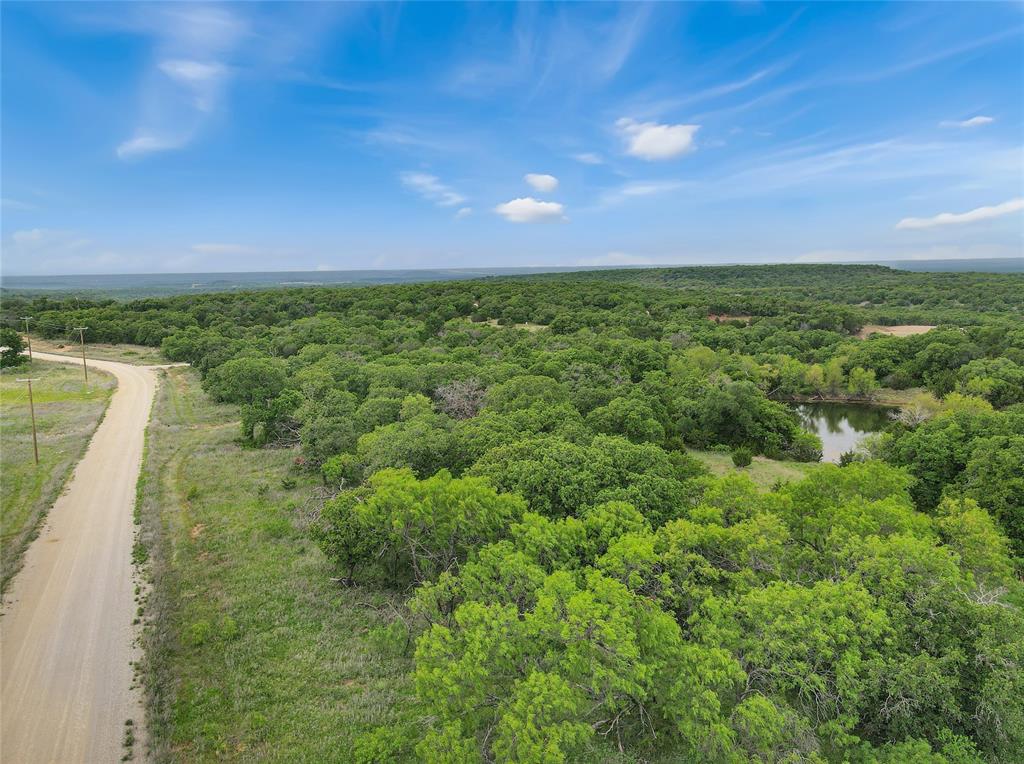Tbd Tbd Tenbears Court Mingus, TX 76463 - Photo 10 of 20 a view of a big yard with large trees