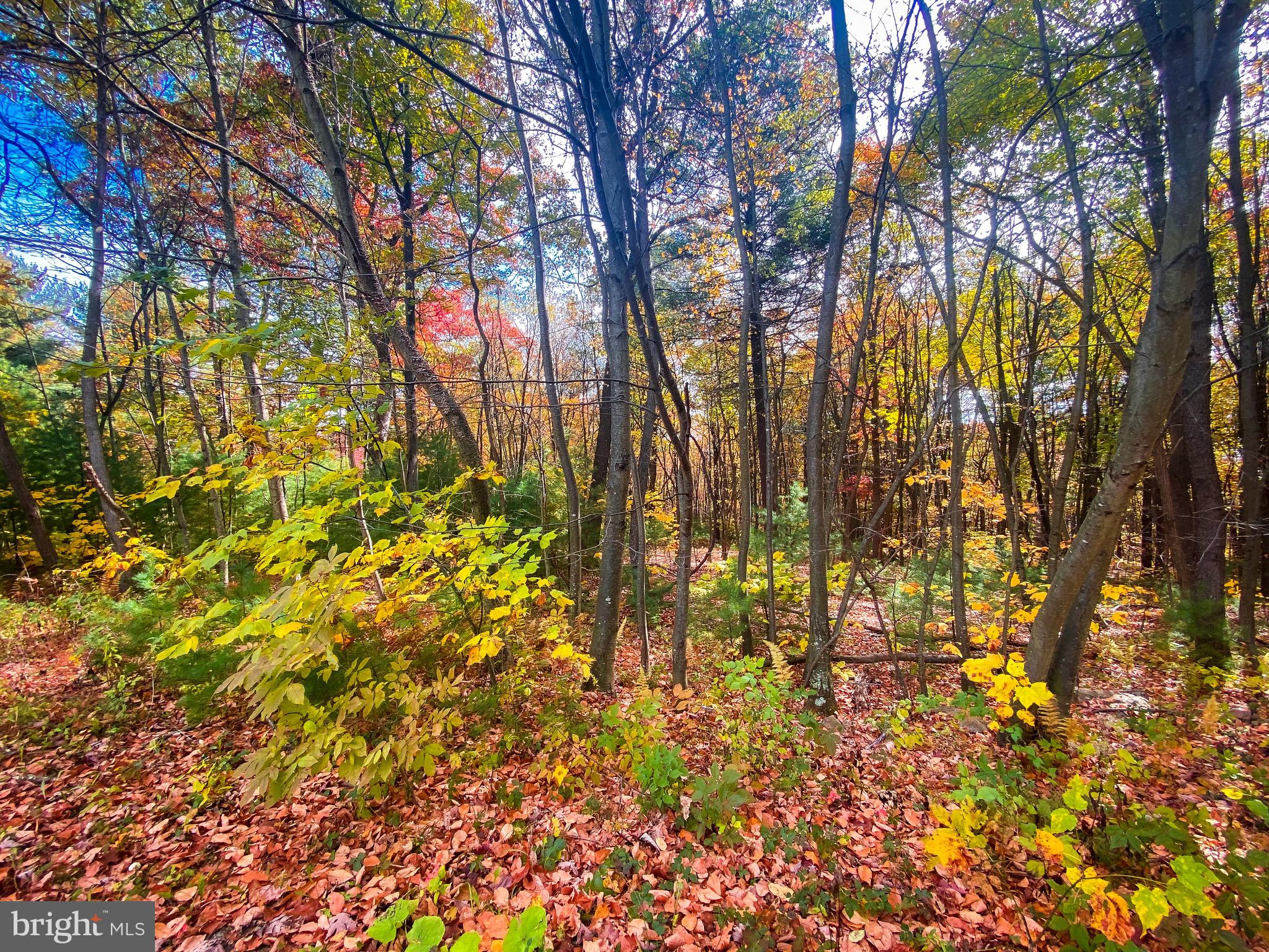0 Longhorn Road Huntingdon, PA 16652 - Photo 1 of 16 Gallery Image 1