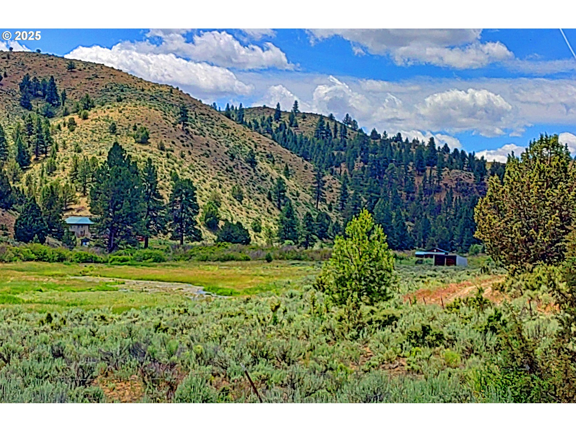 12142 Burns-Izee Road Seneca, OR 97873 - Photo 1 of 40 a view of a yard with a garden