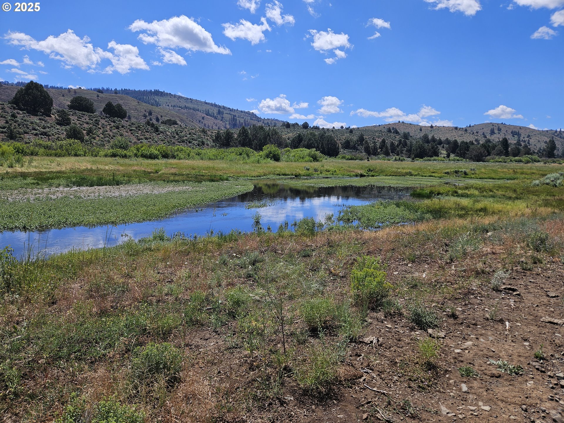12142 Burns-Izee Road Seneca, OR 97873 - Photo 11 of 40 a view of a town with large trees
