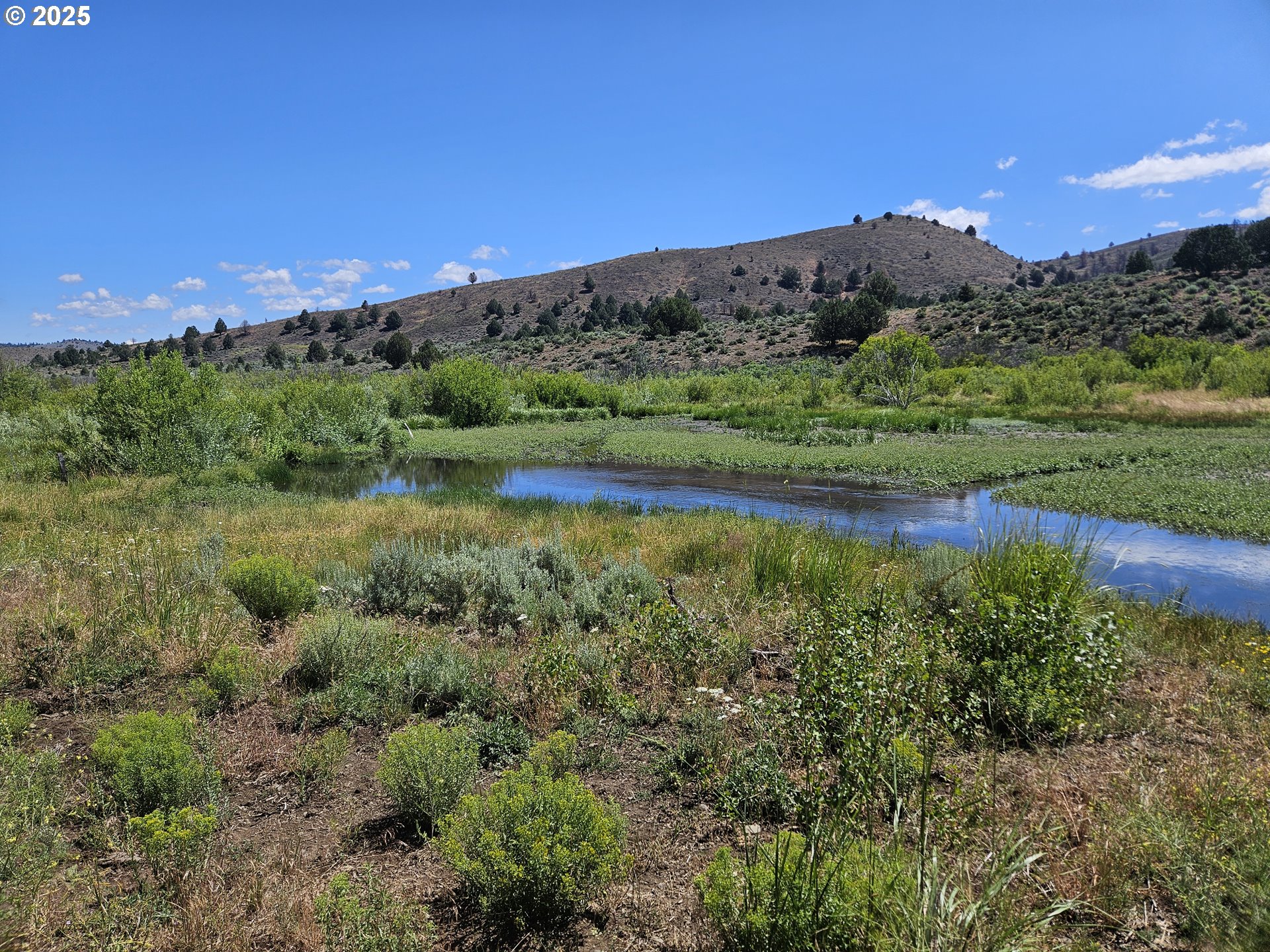 12142 Burns-Izee Road Seneca, OR 97873 - Photo 12 of 40 a view of outdoor space and mountain view