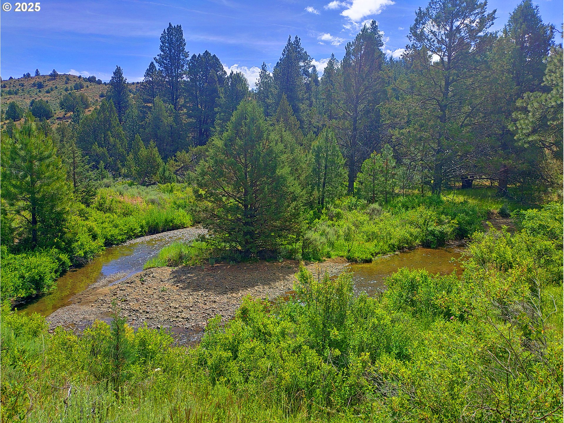 12142 Burns-Izee Road Seneca, OR 97873 - Photo 14 of 40 a view of a pathway both side of grassy field with trees