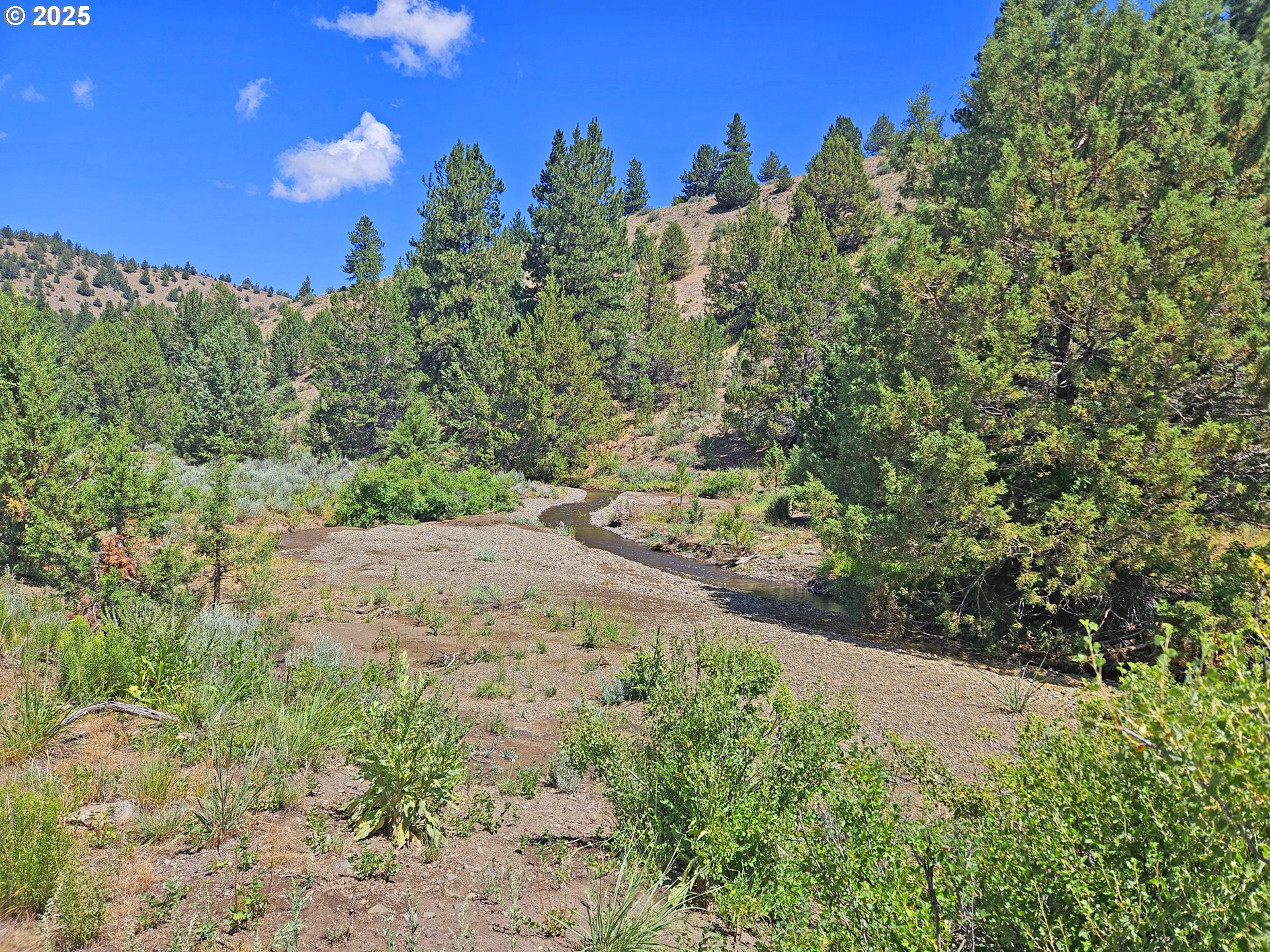 12142 Burns-Izee Road Seneca, OR 97873 - Photo 15 of 40 a view of a yard with a tree