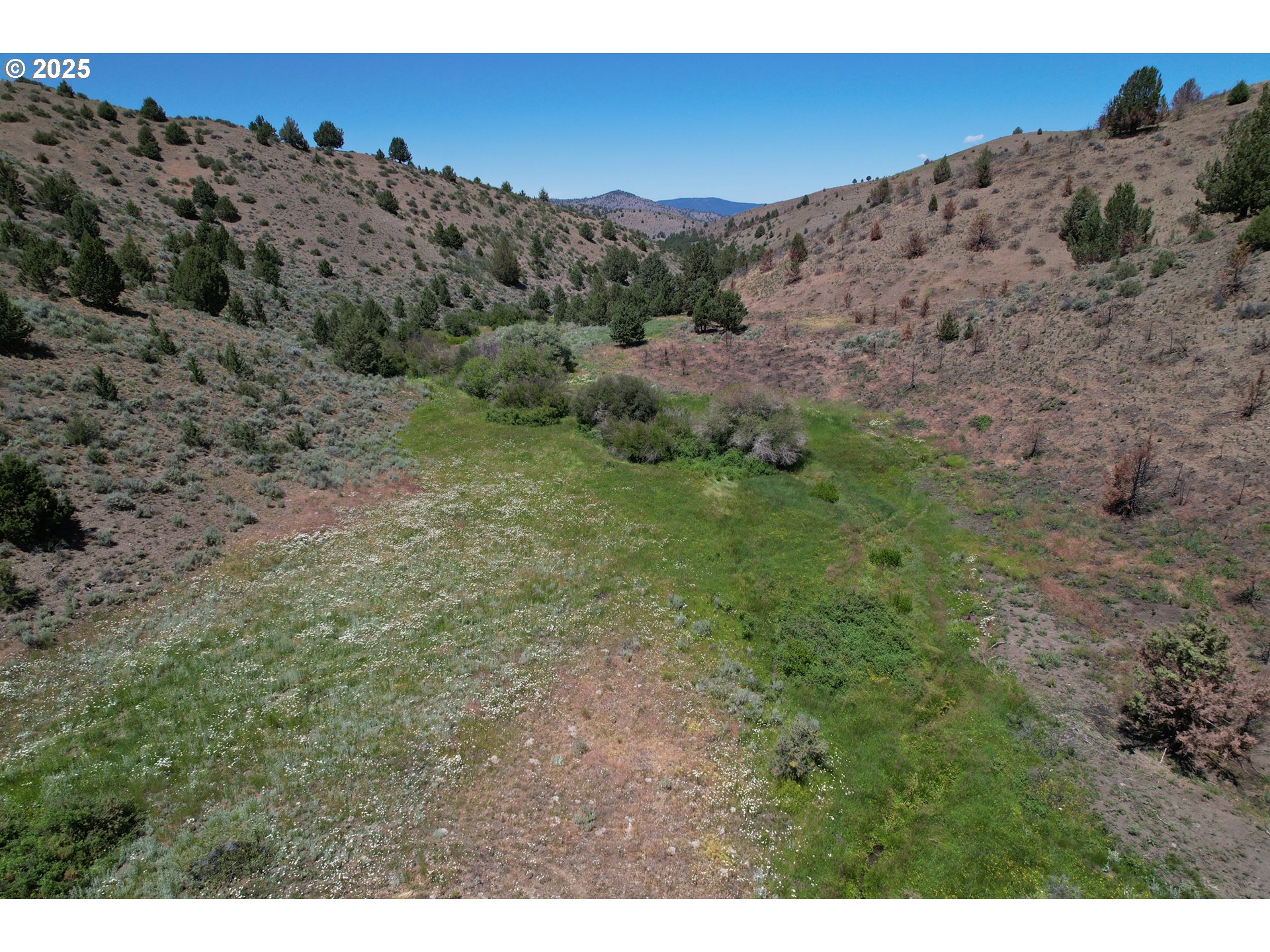 12142 Burns-Izee Road Seneca, OR 97873 - Photo 18 of 40 a view of a dry field