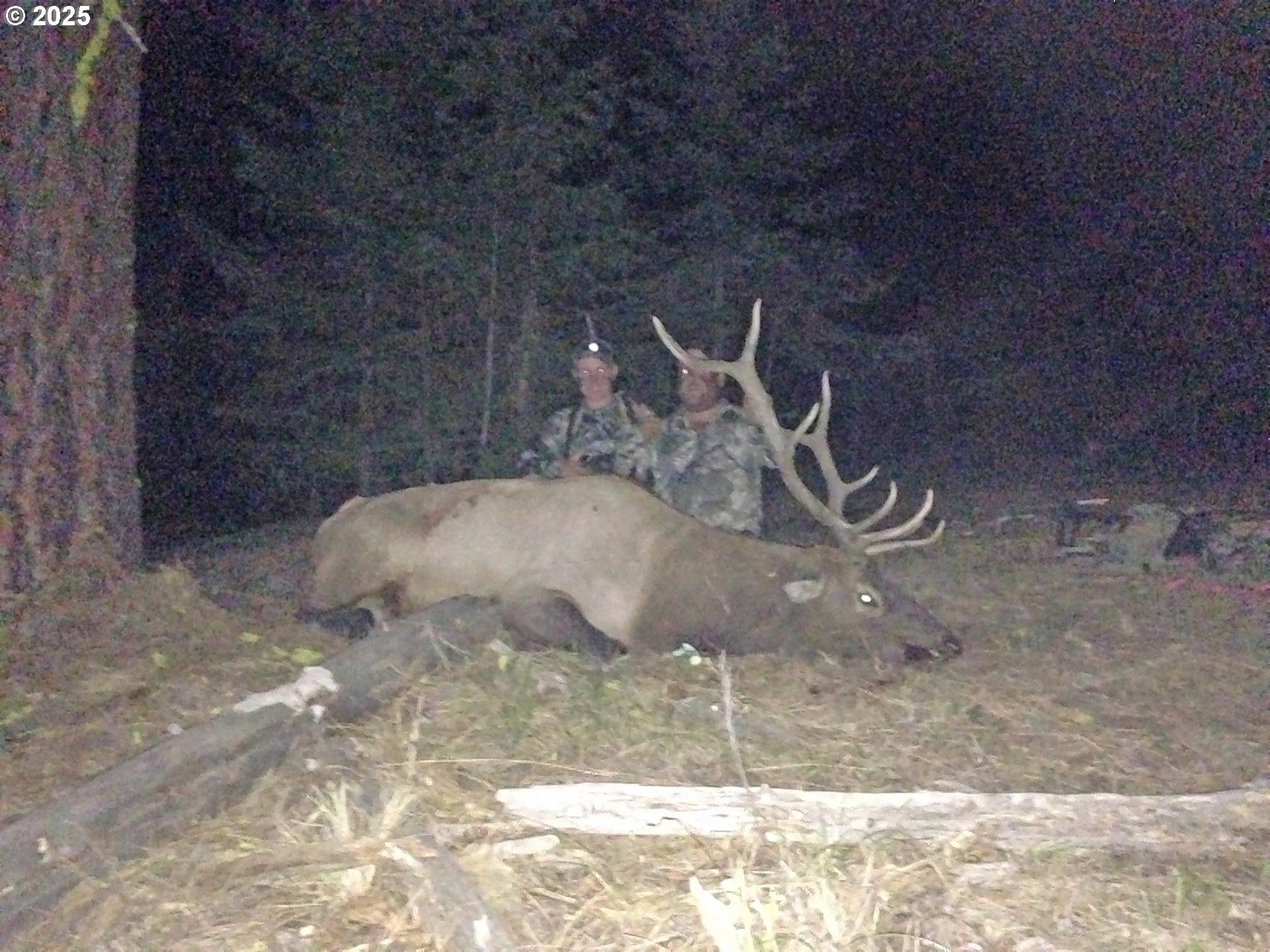 12142 Burns-Izee Road Seneca, OR 97873 - Photo 19 of 40 a close view of a sink