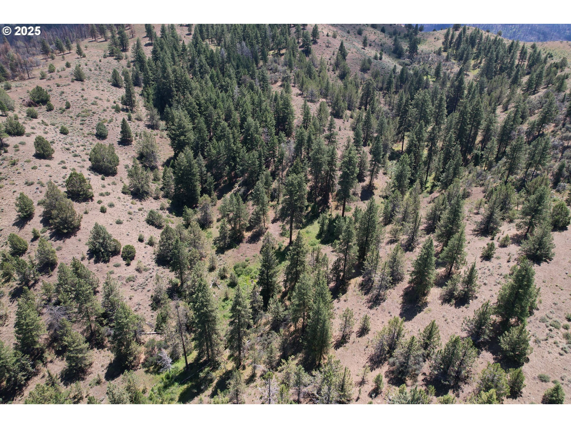 12142 Burns-Izee Road Seneca, OR 97873 - Photo 27 of 40 a view of a field
