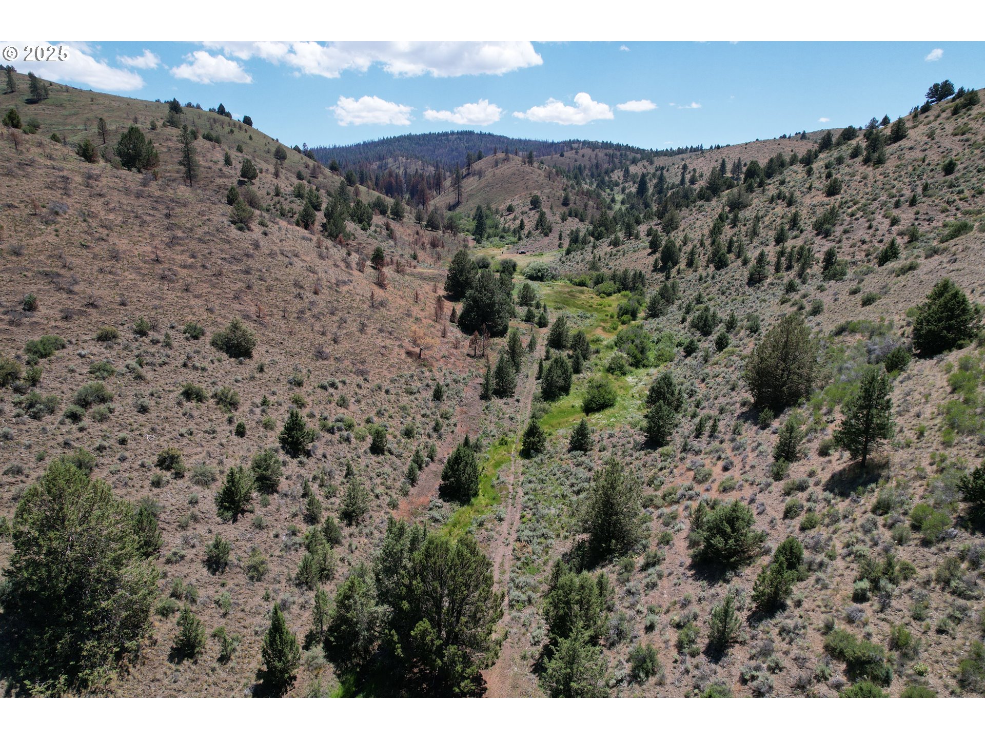 12142 Burns-Izee Road Seneca, OR 97873 - Photo 28 of 40 a view of a sky view