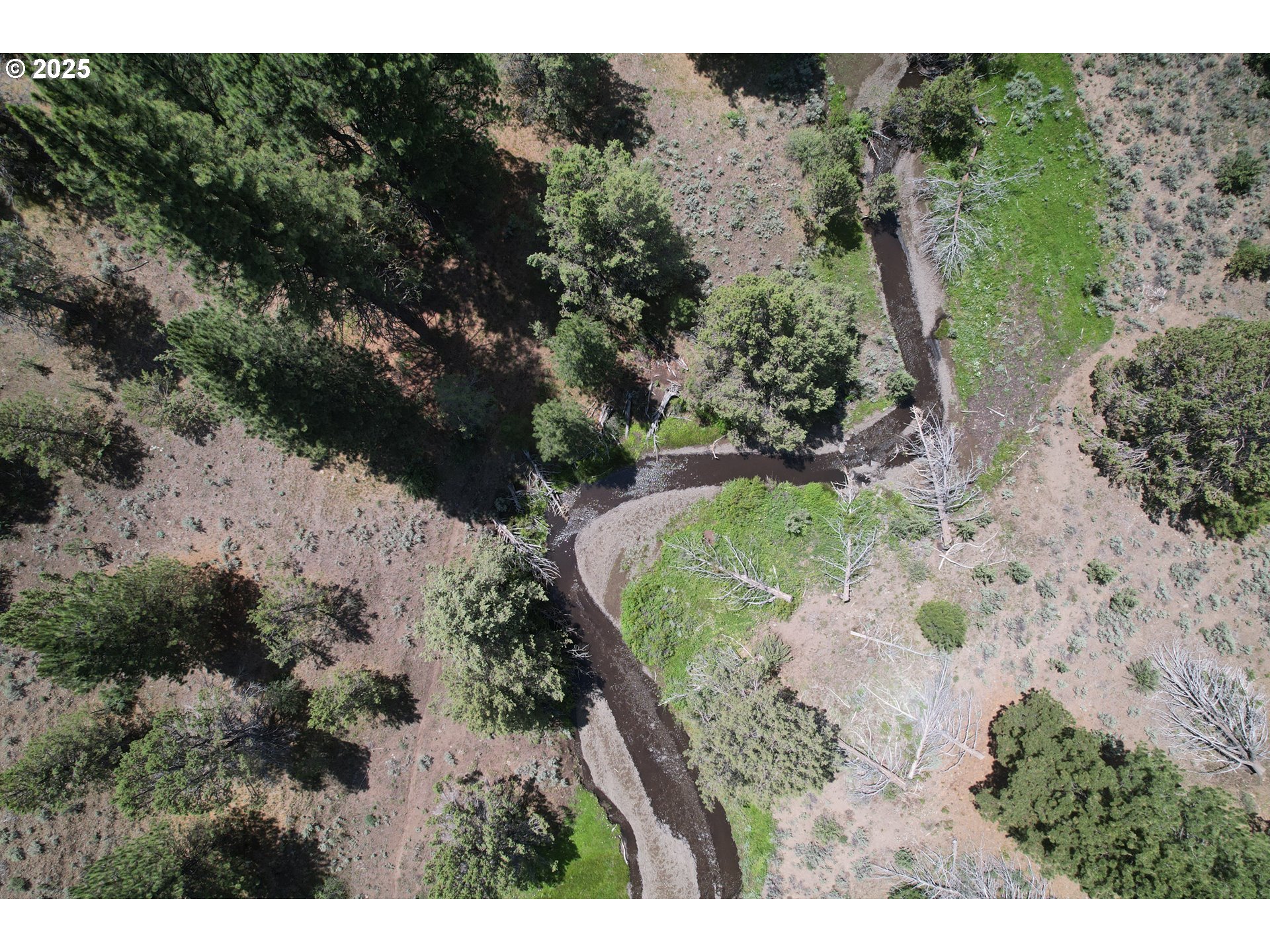 12142 Burns-Izee Road Seneca, OR 97873 - Photo 29 of 40 a view of a tree with a yard