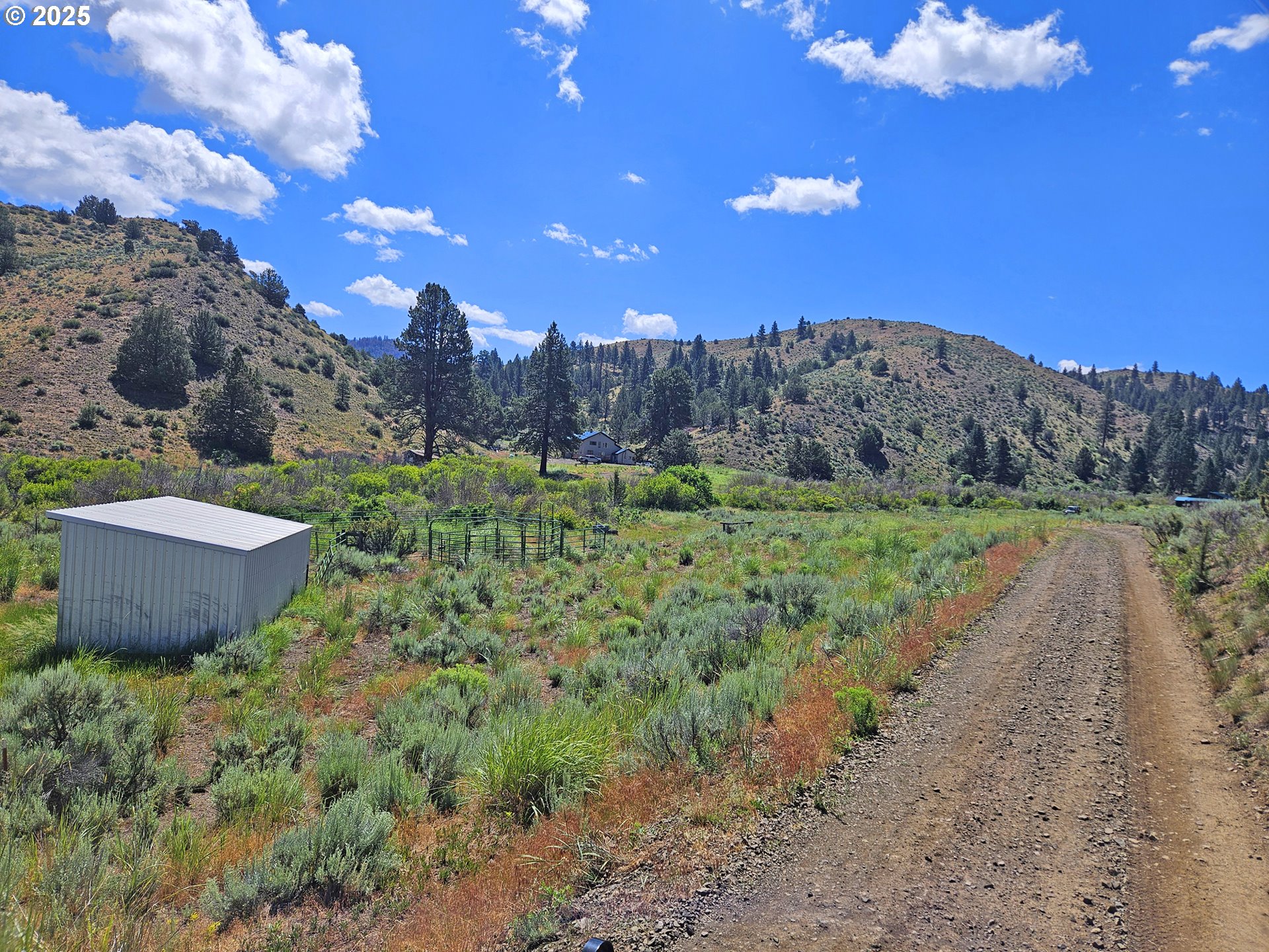 12142 Burns-Izee Road Seneca, OR 97873 - Photo 3 of 40 a view of a backyard with green space