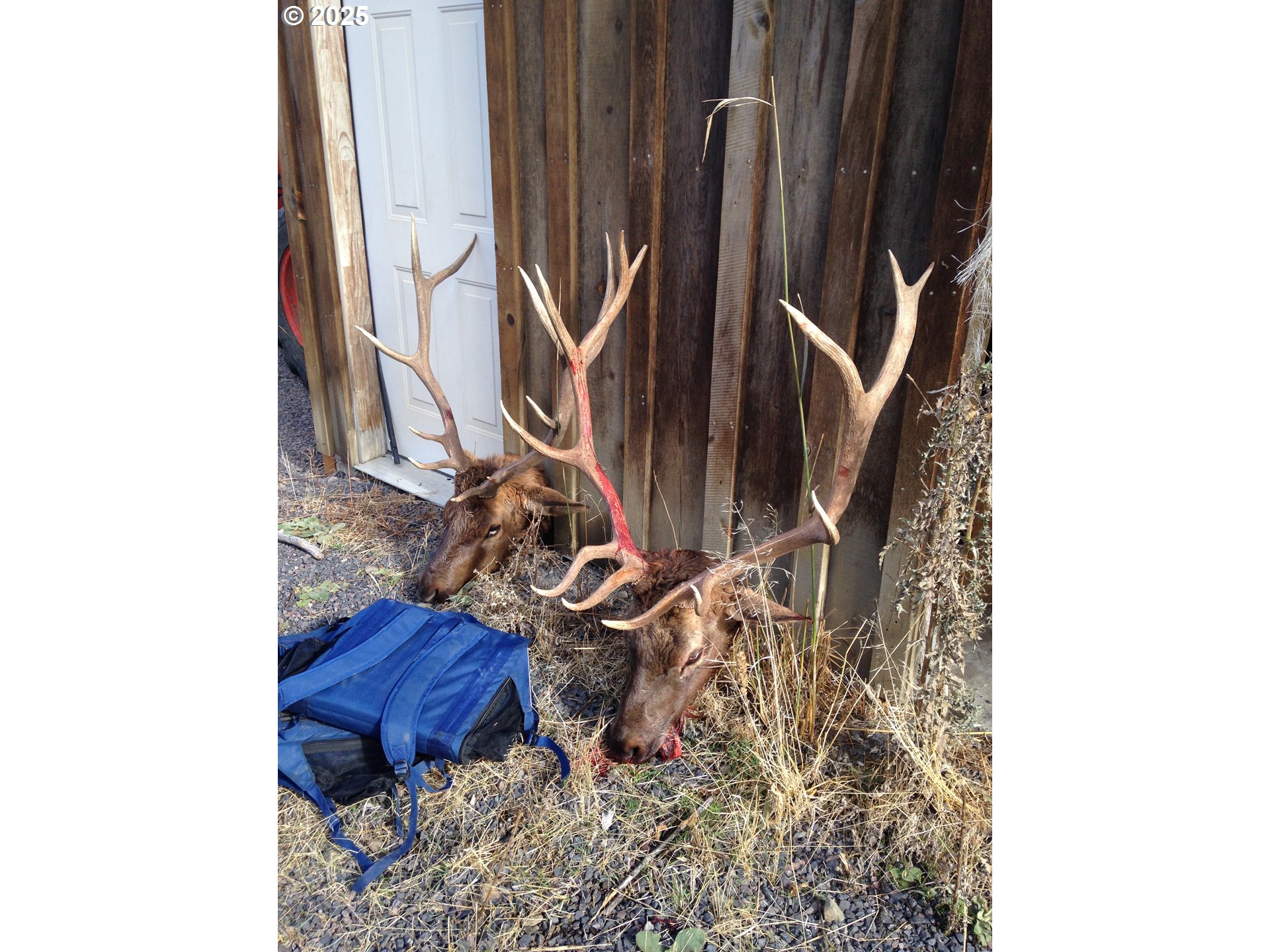 12142 Burns-Izee Road Seneca, OR 97873 - Photo 33 of 40