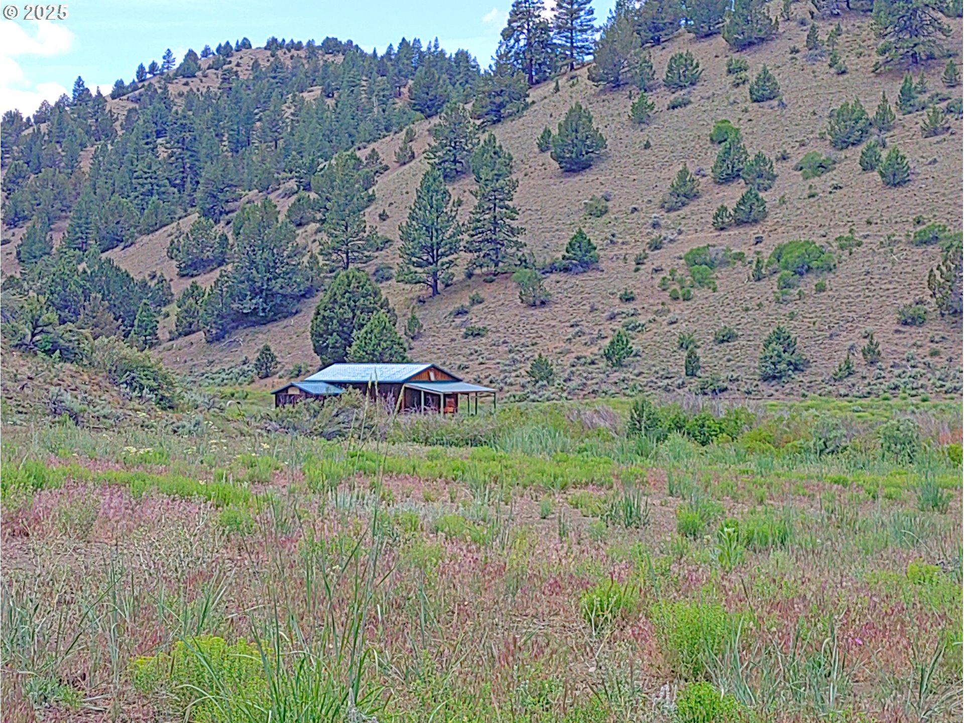 12142 Burns-Izee Road Seneca, OR 97873 - Photo 5 of 40 a backyard of a house with a yard and outdoor seating