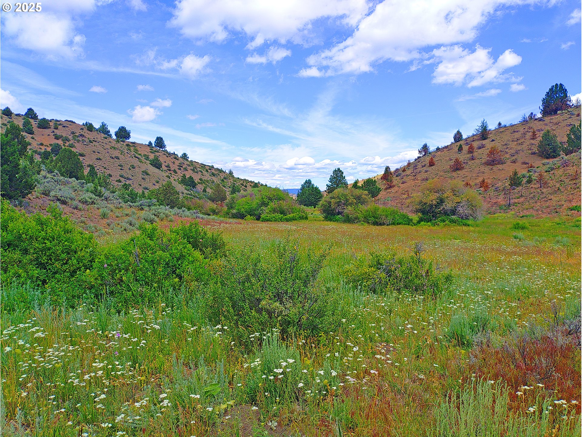 12142 Burns-Izee Road Seneca, OR 97873 - Photo 7 of 40 a view of a field with an ocean