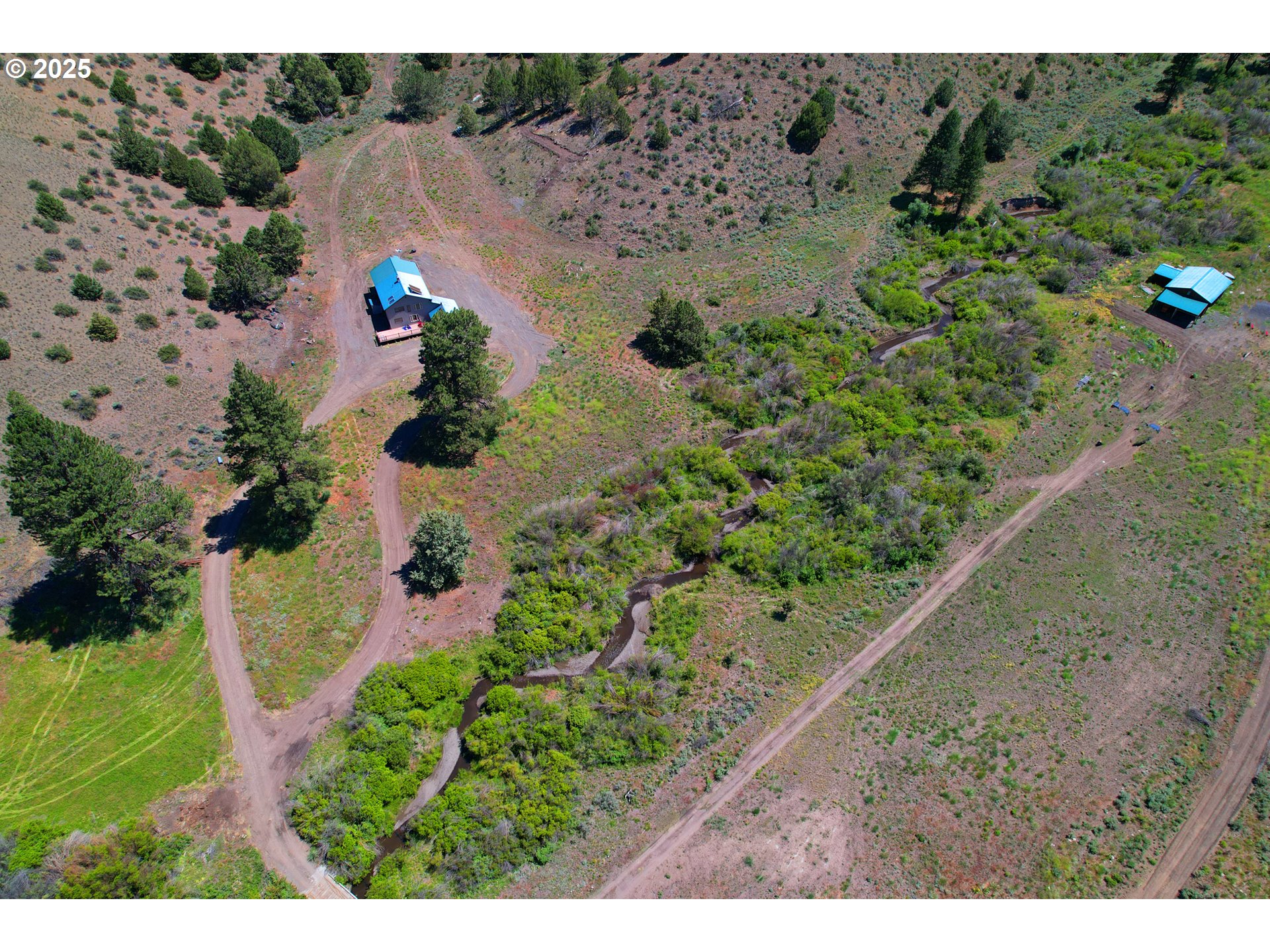 12142 Burns-Izee Road Seneca, OR 97873 - Photo 8 of 40 a view of a yard with a tree