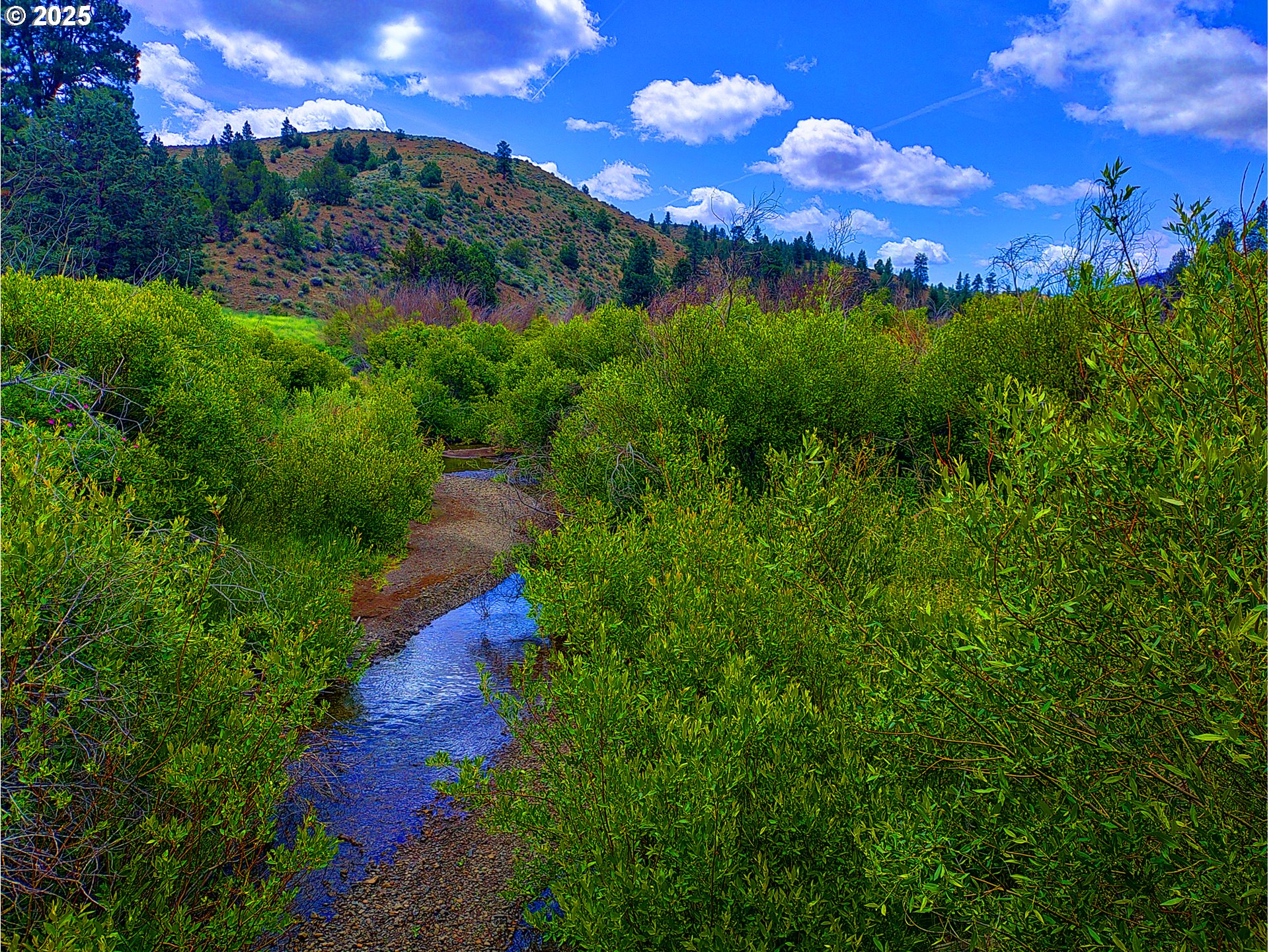 12142 Burns-Izee Road Seneca, OR 97873 - Photo 9 of 40 a view of a yard