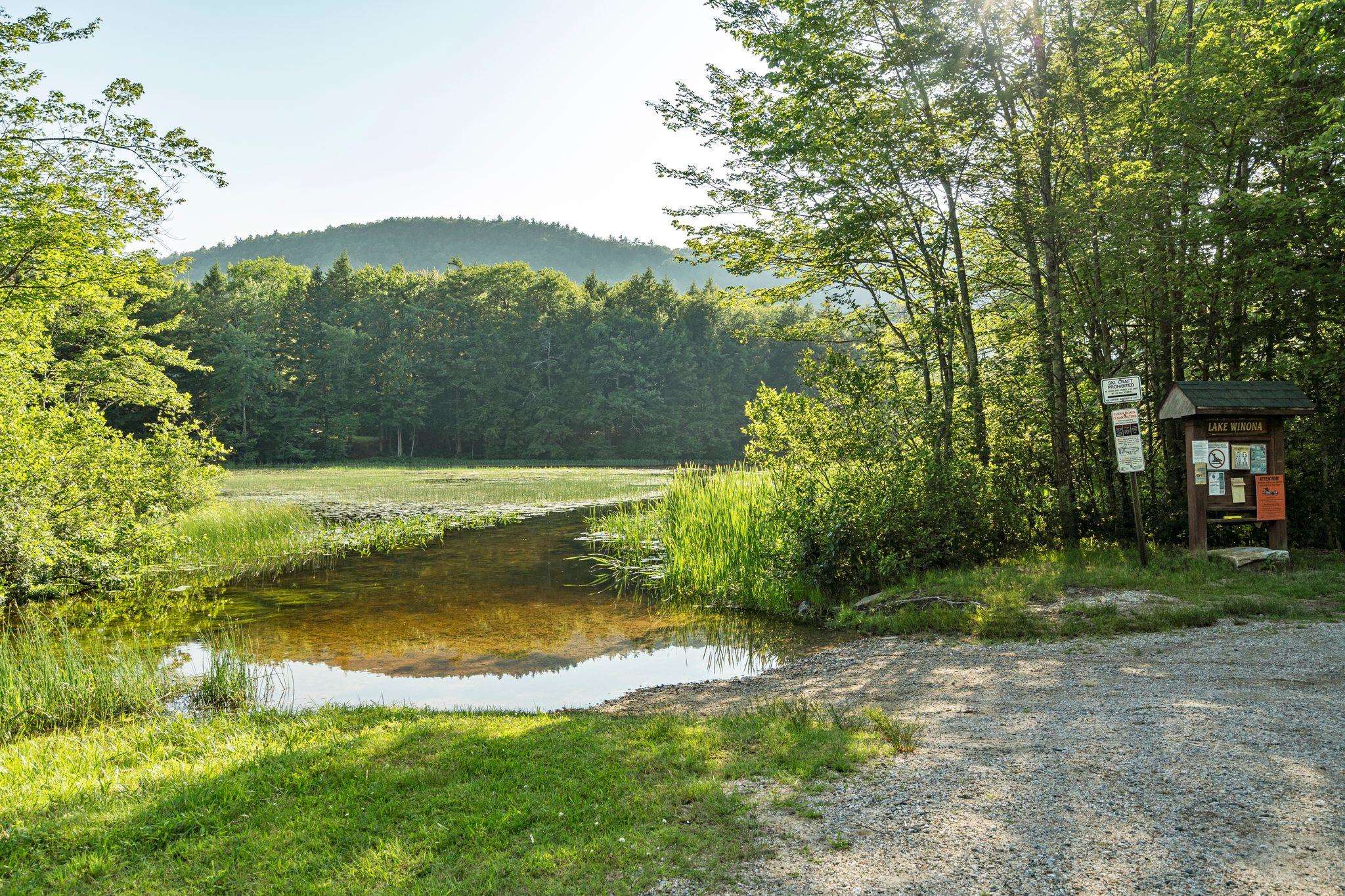 599 Winona Road Center Harbor, NH 03226 - Photo 34 of 40