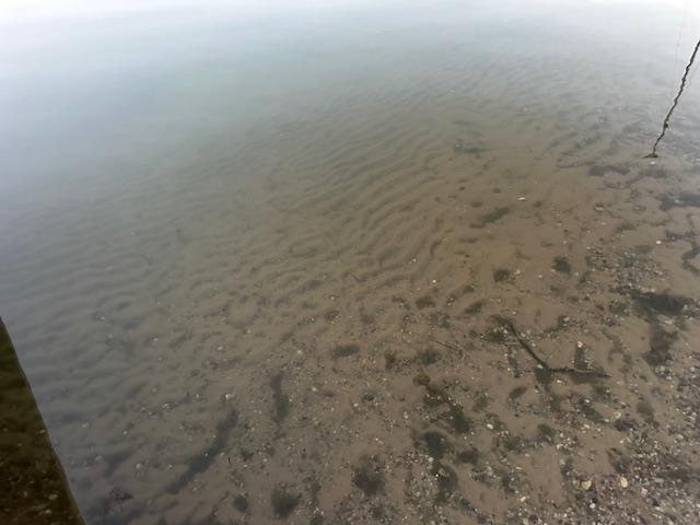 N260 3rd Court Coloma, WI 54930 - Photo 9 of 64