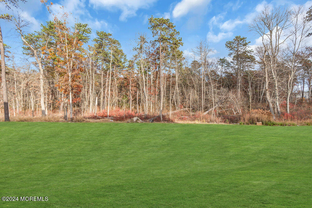 4 Avalon Lane Jackson, NJ 08527 - Photo 15 of 19 backyard