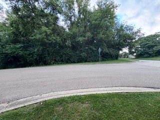 Lot 2 Asbury Avenue Fox River Grove, IL 60021 - Photo 3 of 7 a view of a field