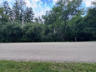 Lot 2 Asbury Avenue Fox River Grove, IL 60021 - Photo 4 of 7 a view of a field with trees in background