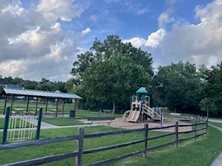 a view of a bench in the garden