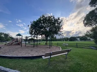 a view of a park with large trees