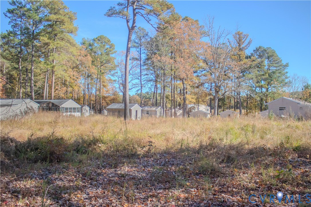 9501 Wilcox Neck Road Charles City, VA 23030 - Photo 14 of 15 View of yard with view of scattered trees