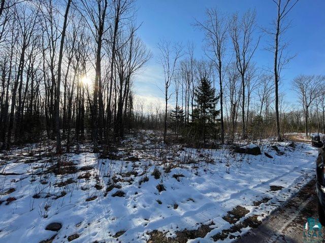 6100 County Rd F Lake Nebagamon, WI 54849 - Photo 3 of 15