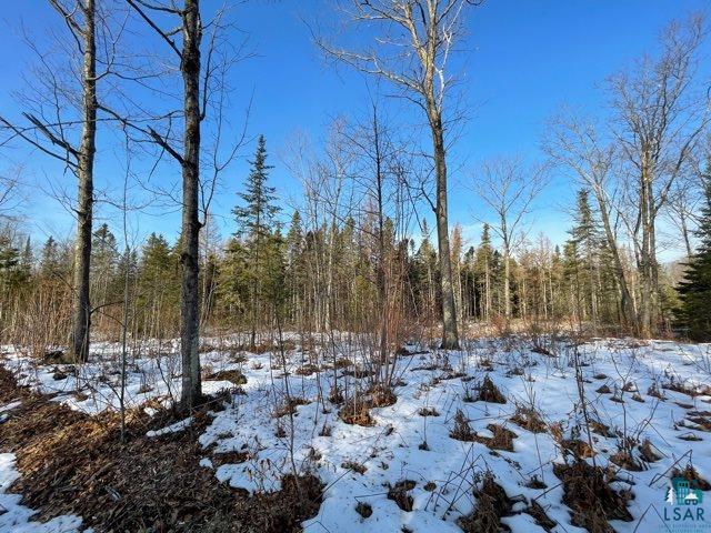 6100 County Rd F Lake Nebagamon, WI 54849 - Photo 4 of 15