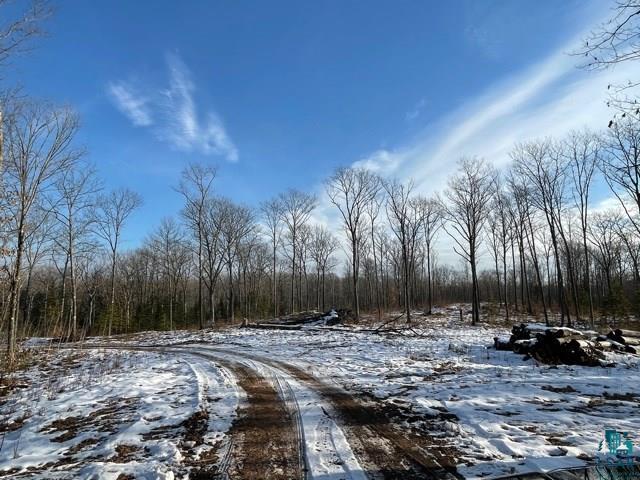 6100 County Rd F Lake Nebagamon, WI 54849 - Photo 6 of 15